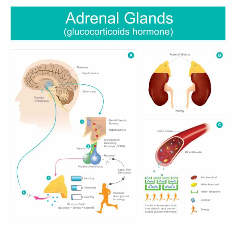 causes of overactive adrenal glands