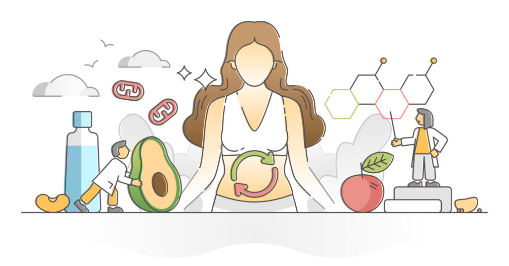 Metabolism: The Key To Unlocking Optimal Health Metabolism: The Key to Unlocking Optimal Health
